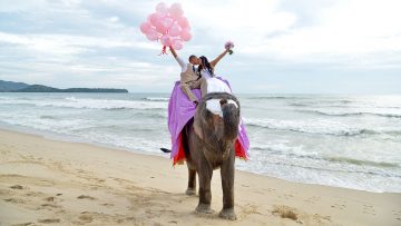 Phuket Elephant Marriage Package
